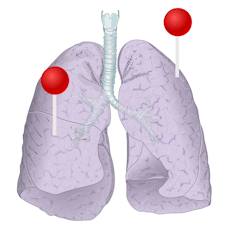 Lunge illustrationen mit Stiften