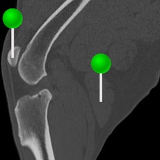 Dog - Stifle CT with pins